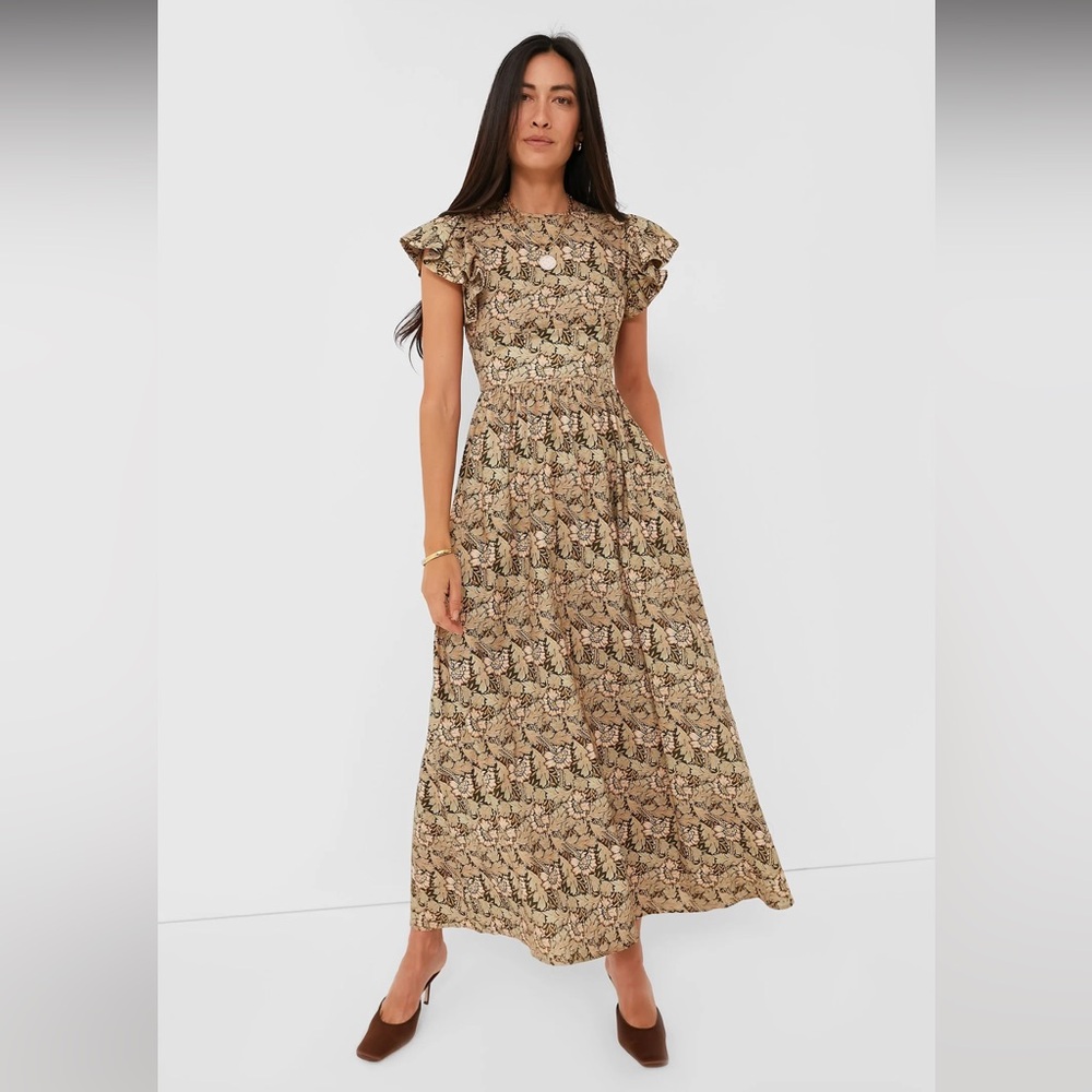 Tuckernuck maxi dress